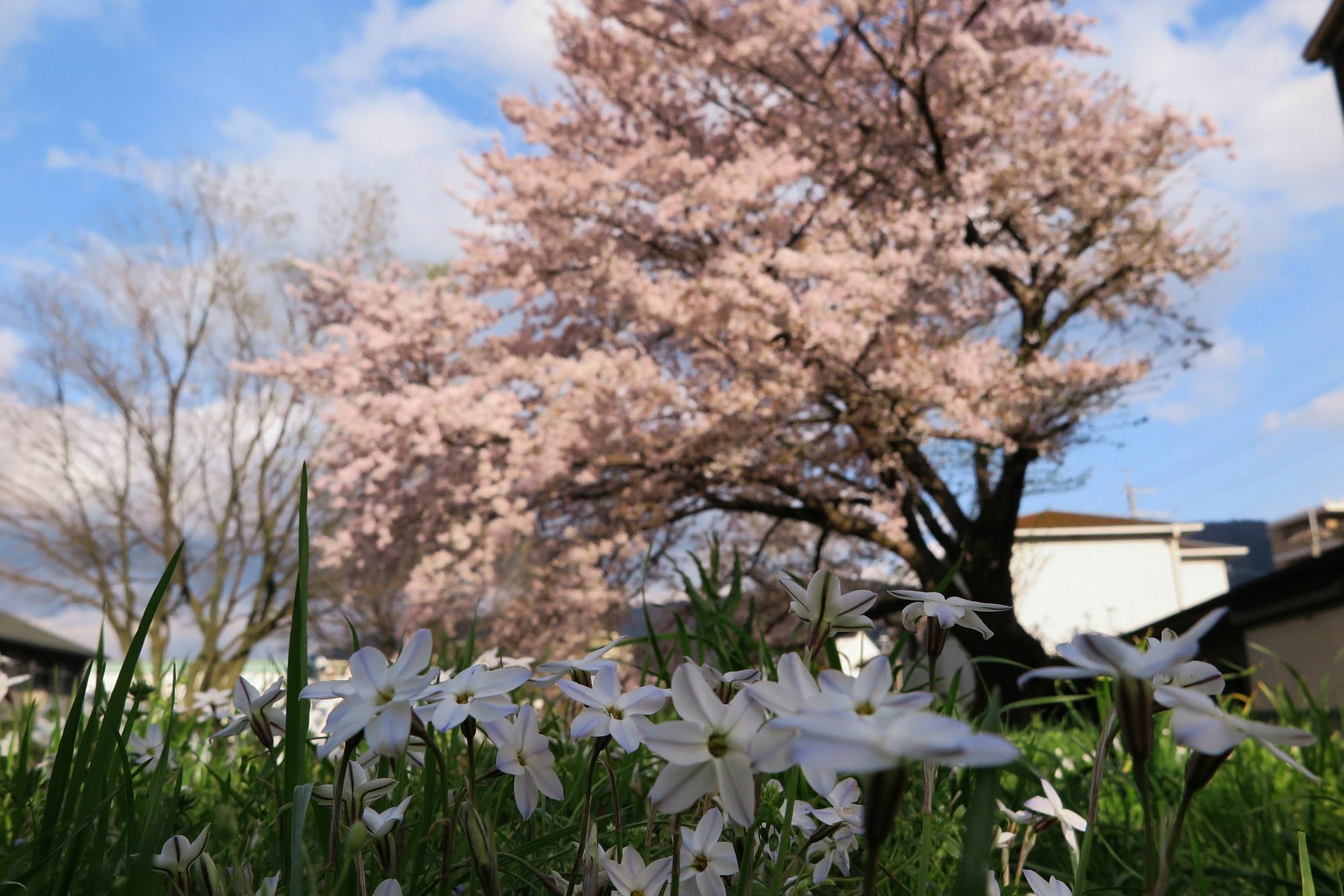 Wanokura Hotel Kyoto Bagian luar foto